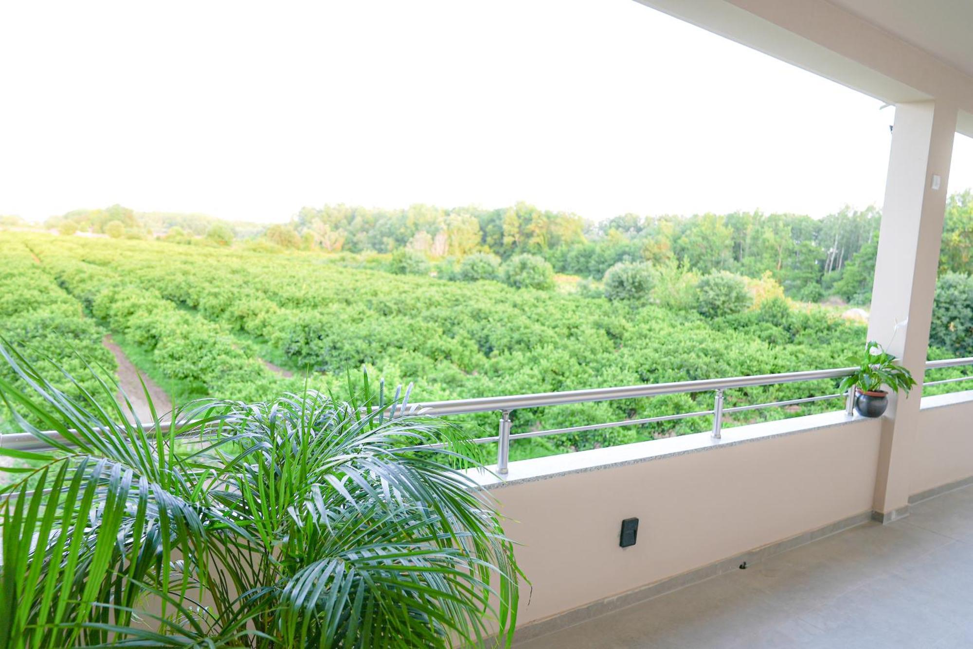 Mar Nero Apartments Bregvija Екстер'єр фото